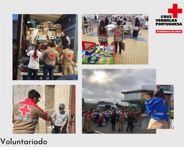 Voluntariado